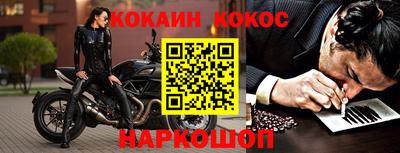 стафф Кингисепп