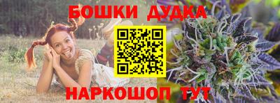 стафф Кингисепп