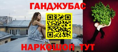 стафф Кингисепп
