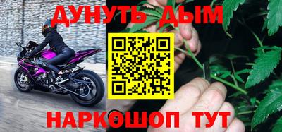 стафф Кингисепп