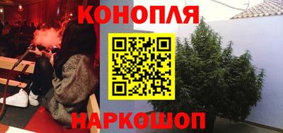 стафф Кингисепп