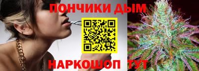 стафф Кингисепп