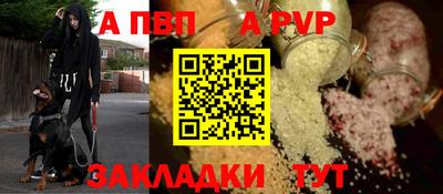 стафф Кингисепп