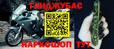 стафф Кингисепп