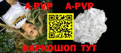 стафф Кингисепп