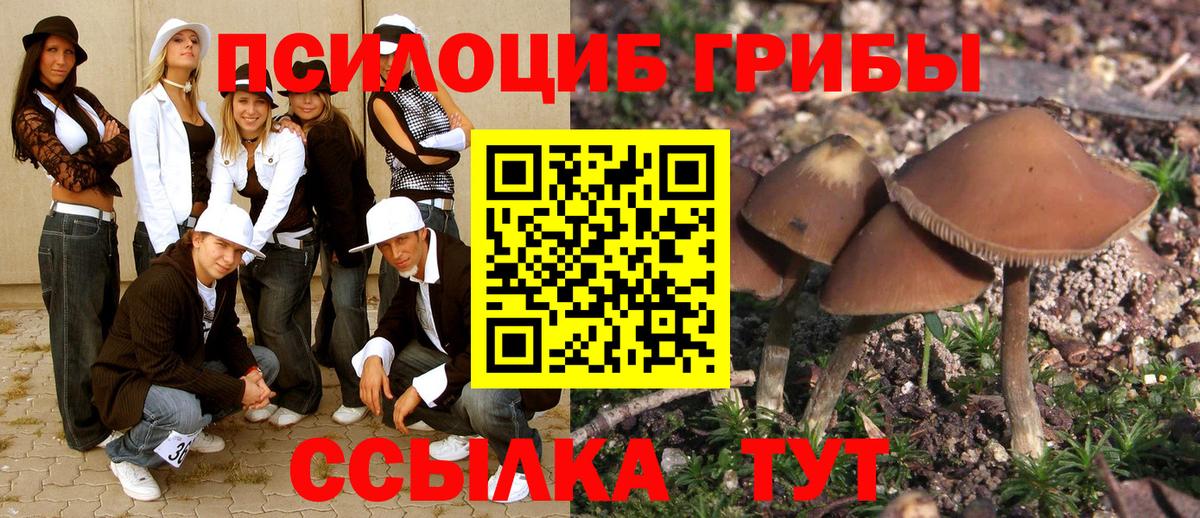Костомукша  купить наркотик  Вход с VPN  Псилоцибиновые грибы Psilocybine cubensis  Галлюциногенные грибы прущие грибы 
