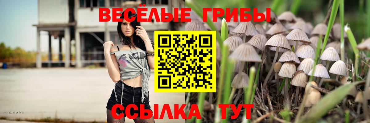 Галлюциногенные грибы MAGIC MUSHROOMS Костомукша